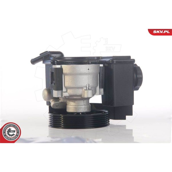 Servopump Esen skv 10SKV171 ESEN SKV
