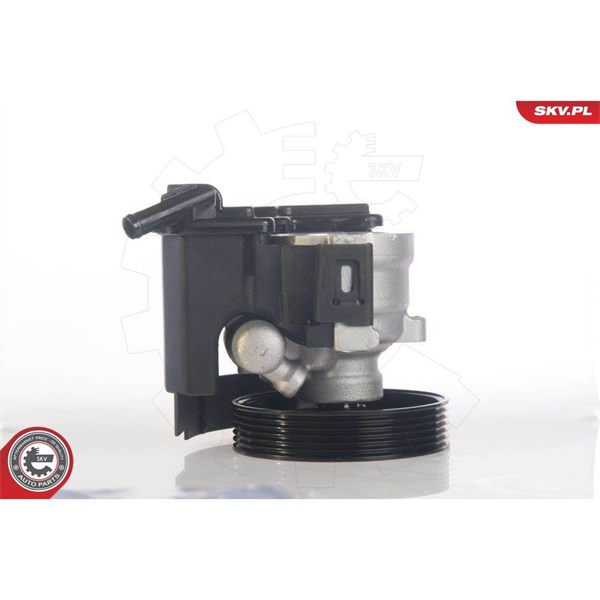 Servopump Esen skv 10SKV171 ESEN SKV Servopump Esen skv 10SKV171 ESEN SKV