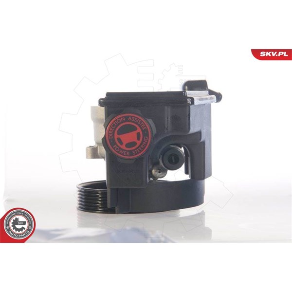 Servopump Esen skv 10SKV171 ESEN SKV Servopump Esen skv 10SKV171 ESEN SKV