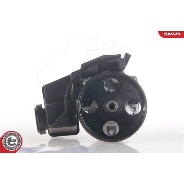 Servopump Esen skv 10SKV171 ESEN SKV