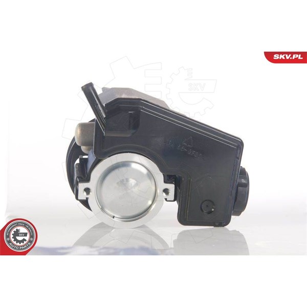 Servopump Esen skv 10SKV171 ESEN SKV Servopump Esen skv 10SKV171 ESEN SKV
