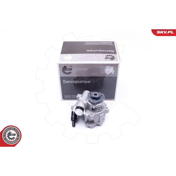 Servopump Esen skv 10SKV172 ESEN SKV