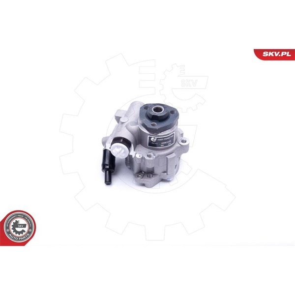 Servopump Esen skv 10SKV172 ESEN SKV