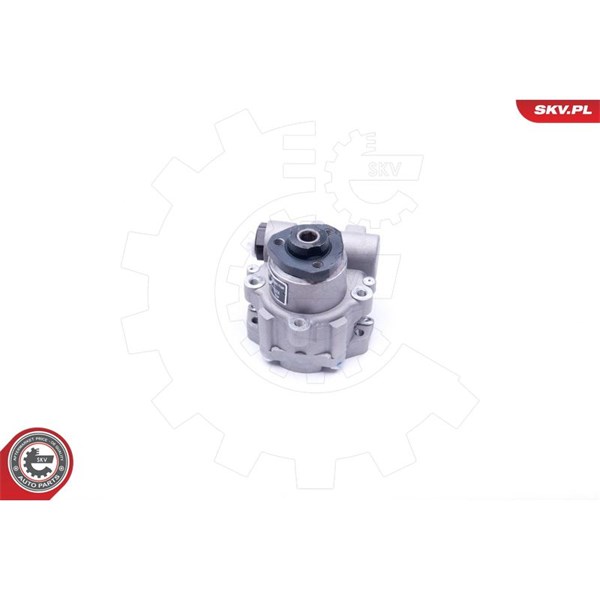 Servopump Esen skv 10SKV172 ESEN SKV