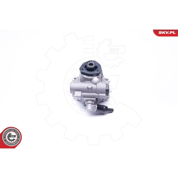 Servopump Esen skv 10SKV172 ESEN SKV