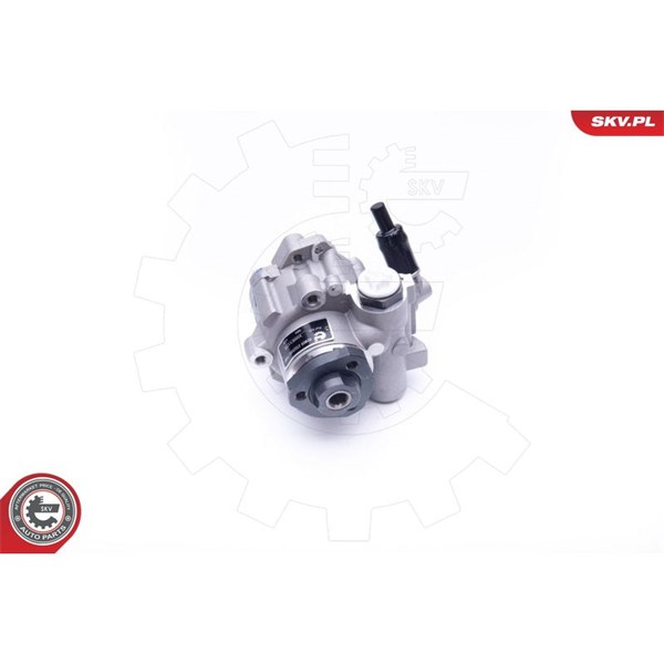 Servopump Esen skv 10SKV172 ESEN SKV