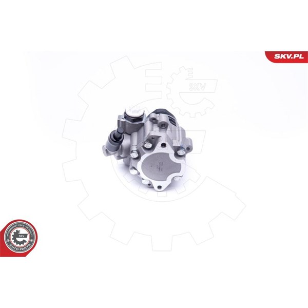 Servopump Esen skv 10SKV172 ESEN SKV