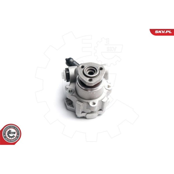 Servopump Esen skv 10SKV173 ESEN SKV