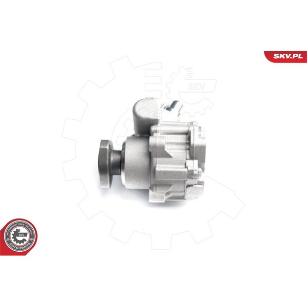 Servopump Esen skv 10SKV173 ESEN SKV