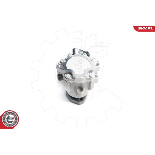 Servopump Esen skv 10SKV173 ESEN SKV