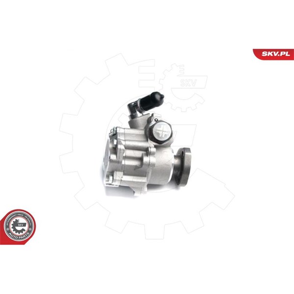 Servopump Esen skv 10SKV173 ESEN SKV