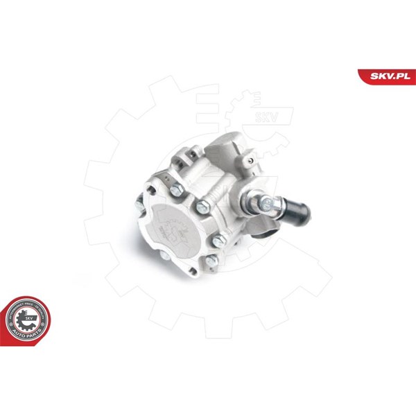 Servopump Esen skv 10SKV173 ESEN SKV