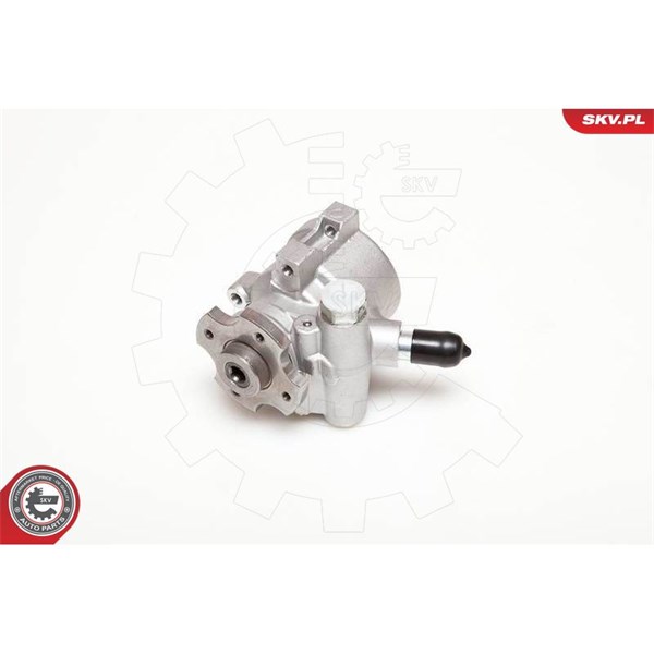 Servopump Esen skv 10SKV178 ESEN SKV