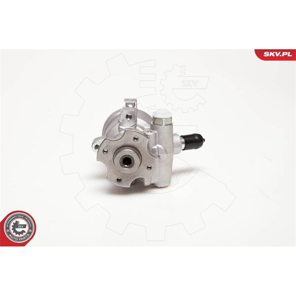 Servopump Esen skv 10SKV178 ESEN SKV