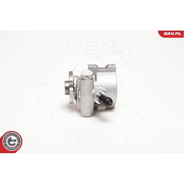 Servopump Esen skv 10SKV178 ESEN SKV
