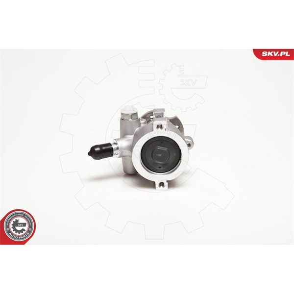 Servopump Esen skv 10SKV178 ESEN SKV