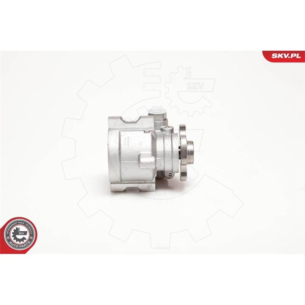 Servopump Esen skv 10SKV178 ESEN SKV
