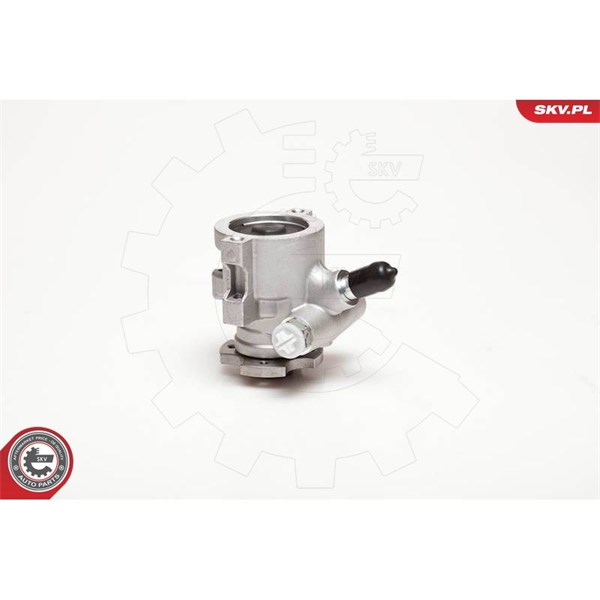 Servopump Esen skv 10SKV178 ESEN SKV