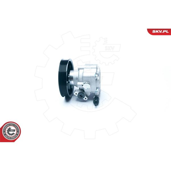 Servopump Esen skv 10SKV183 ESEN SKV