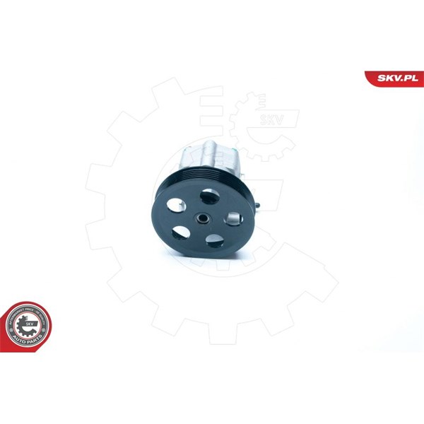 Servopump Esen skv 10SKV183 ESEN SKV