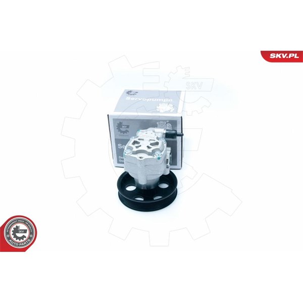 Servopump Esen skv 10SKV183 ESEN SKV