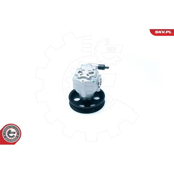 Servopump Esen skv 10SKV183 ESEN SKV