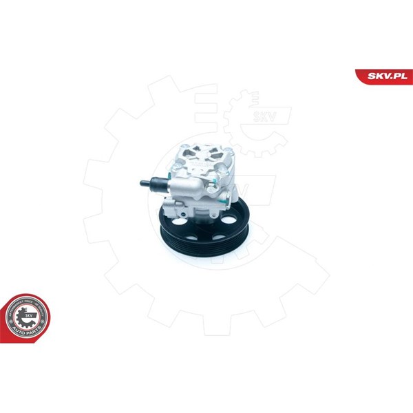 Servopump Esen skv 10SKV183 ESEN SKV