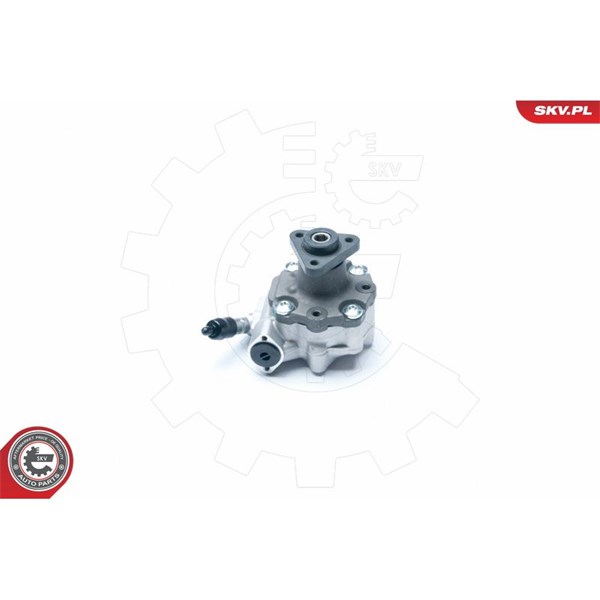Servopump Esen skv 10SKV184 ESEN SKV