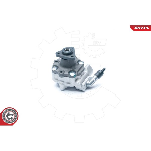 Servopump Esen skv 10SKV184 ESEN SKV