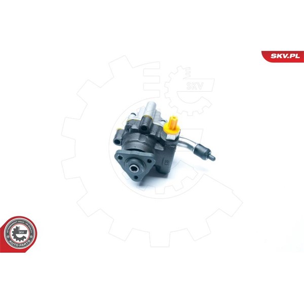 Servopump Esen skv 10SKV189 ESEN SKV Servopump Esen skv 10SKV189 ESEN SKV