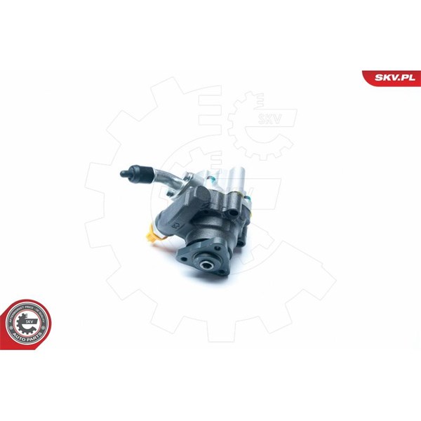 Servopump Esen skv 10SKV189 ESEN SKV Servopump Esen skv 10SKV189 ESEN SKV