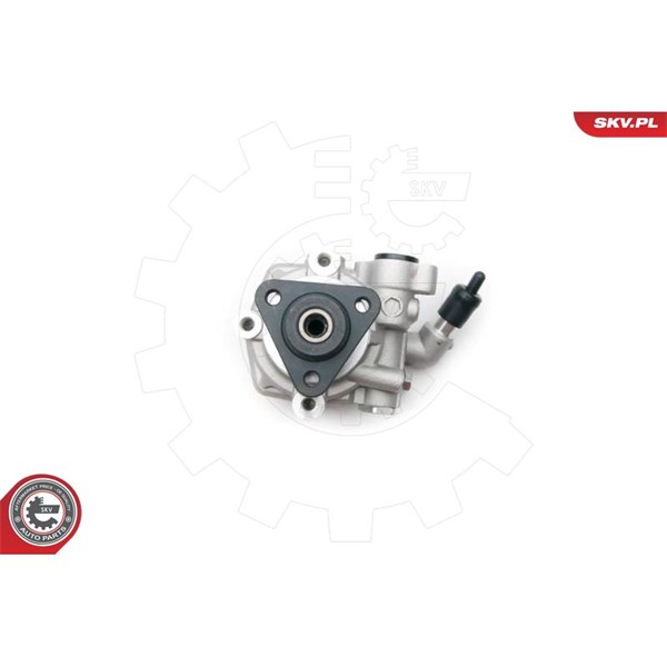 Servopump Esen skv 10SKV193 ESEN SKV