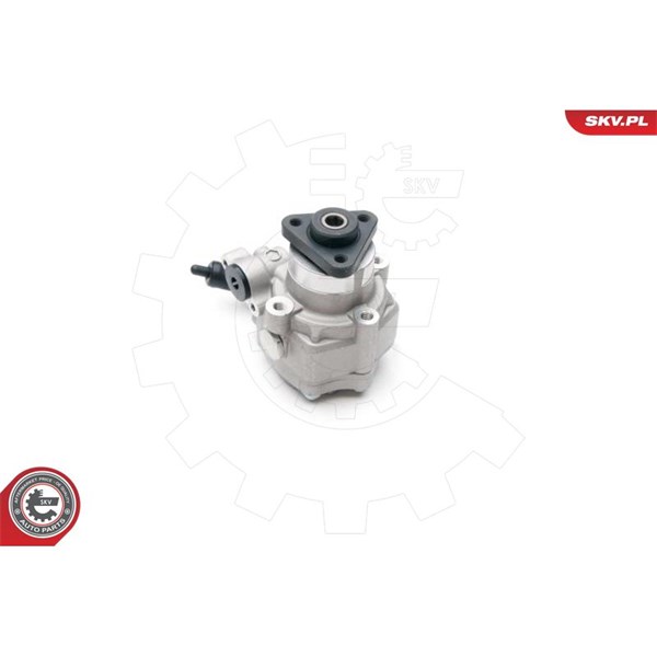 Servopump Esen skv 10SKV193 ESEN SKV