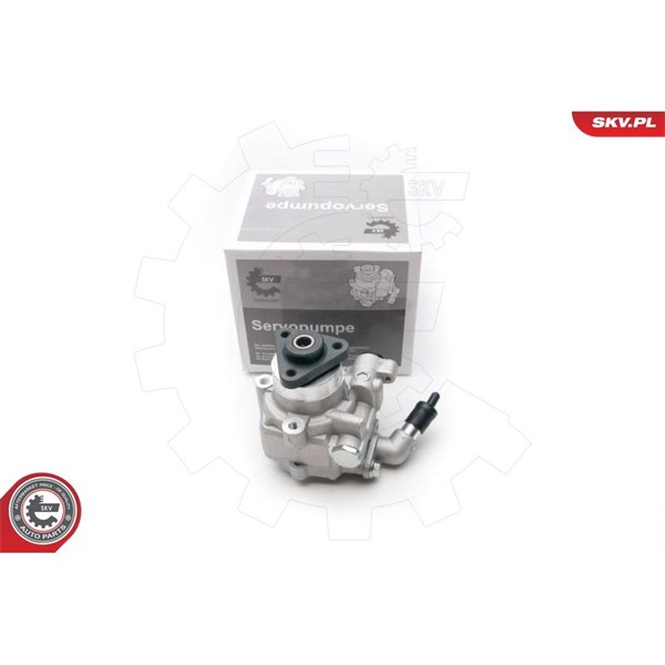 Servopump Esen skv 10SKV193 ESEN SKV