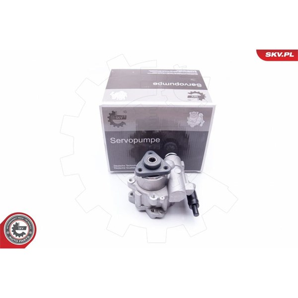 Servopump Esen skv 10SKV196 ESEN SKV