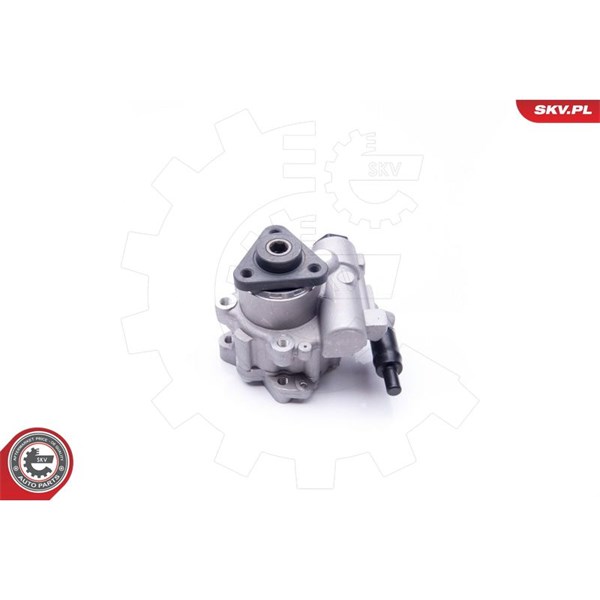 Servopump Esen skv 10SKV196 ESEN SKV