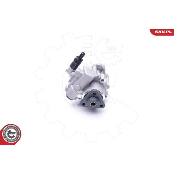 Servopump Esen skv 10SKV196 ESEN SKV