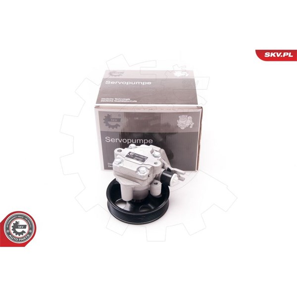 Servopump Esen skv 10SKV214 ESEN SKV