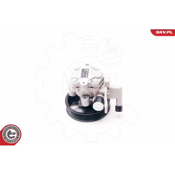Servopump Esen skv 10SKV214 ESEN SKV