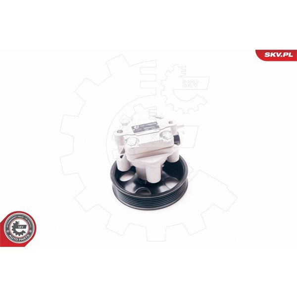 Servopump Esen skv 10SKV214 ESEN SKV