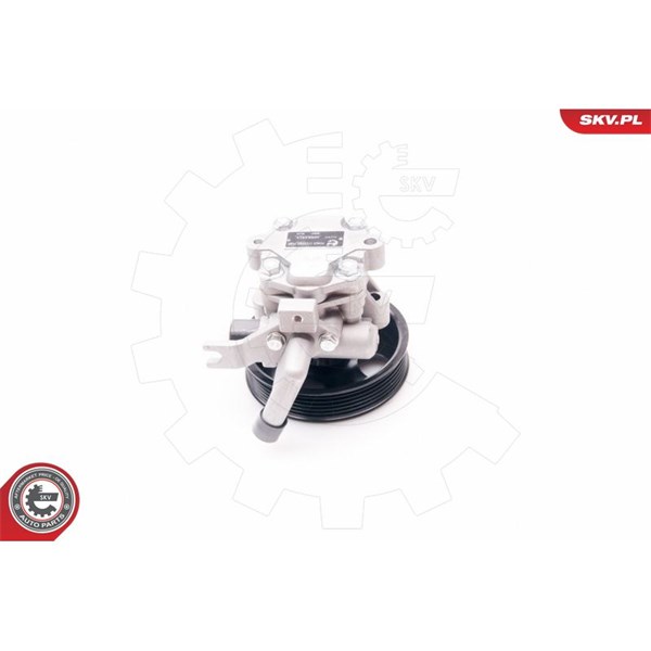 Servopump Esen skv 10SKV214 ESEN SKV
