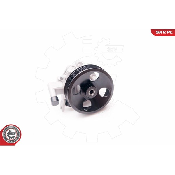 Servopump Esen skv 10SKV214 ESEN SKV