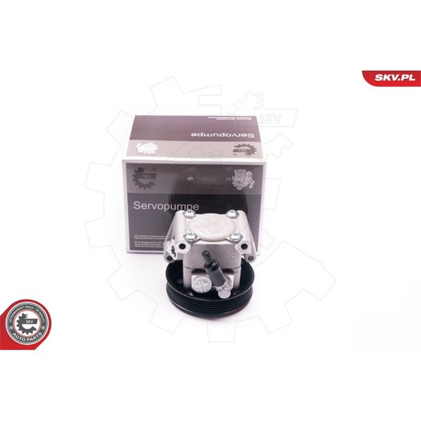 Servopump Esen skv 10SKV219 ESEN SKV