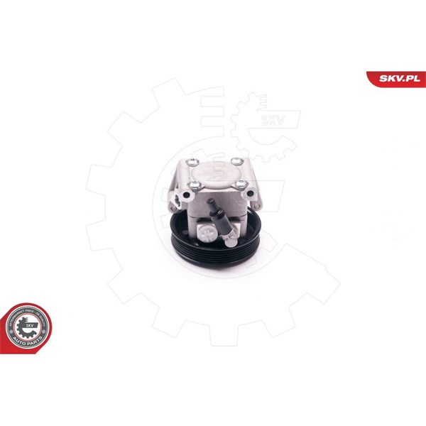 Servopump Esen skv 10SKV219 ESEN SKV