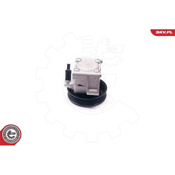 Servopump Esen skv 10SKV219 ESEN SKV