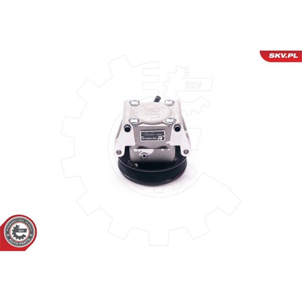 Servopump Esen skv 10SKV219 ESEN SKV