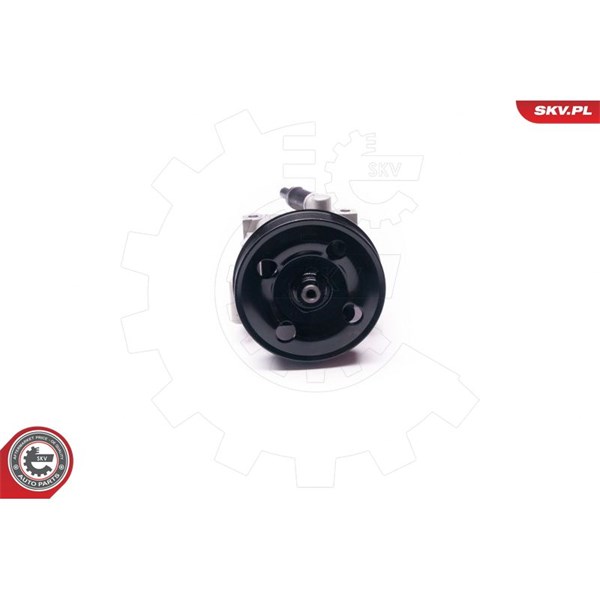 Servopump Esen skv 10SKV219 ESEN SKV