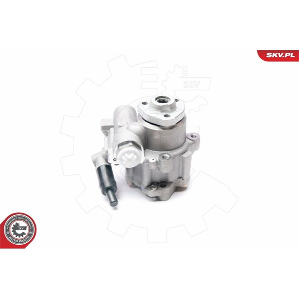 Servopump Esen skv 10SKV223 ESEN SKV