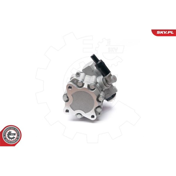 Servopump Esen skv 10SKV224 ESEN SKV