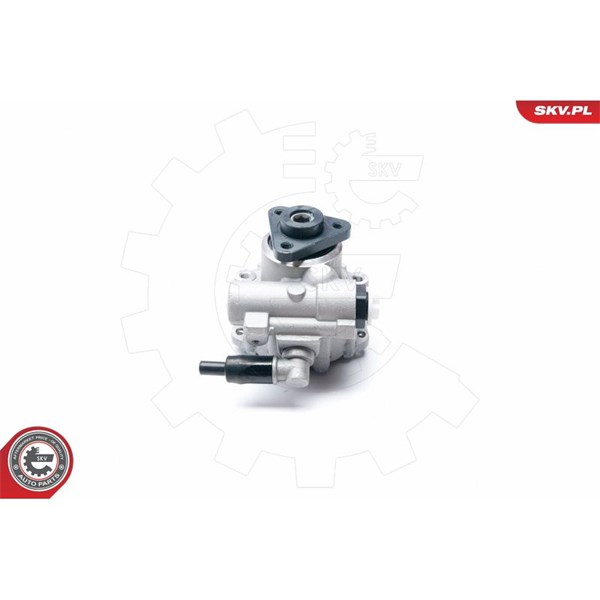 Servopump Esen skv 10SKV224 ESEN SKV
